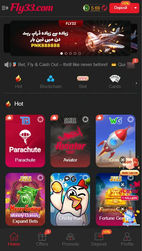 Fly33